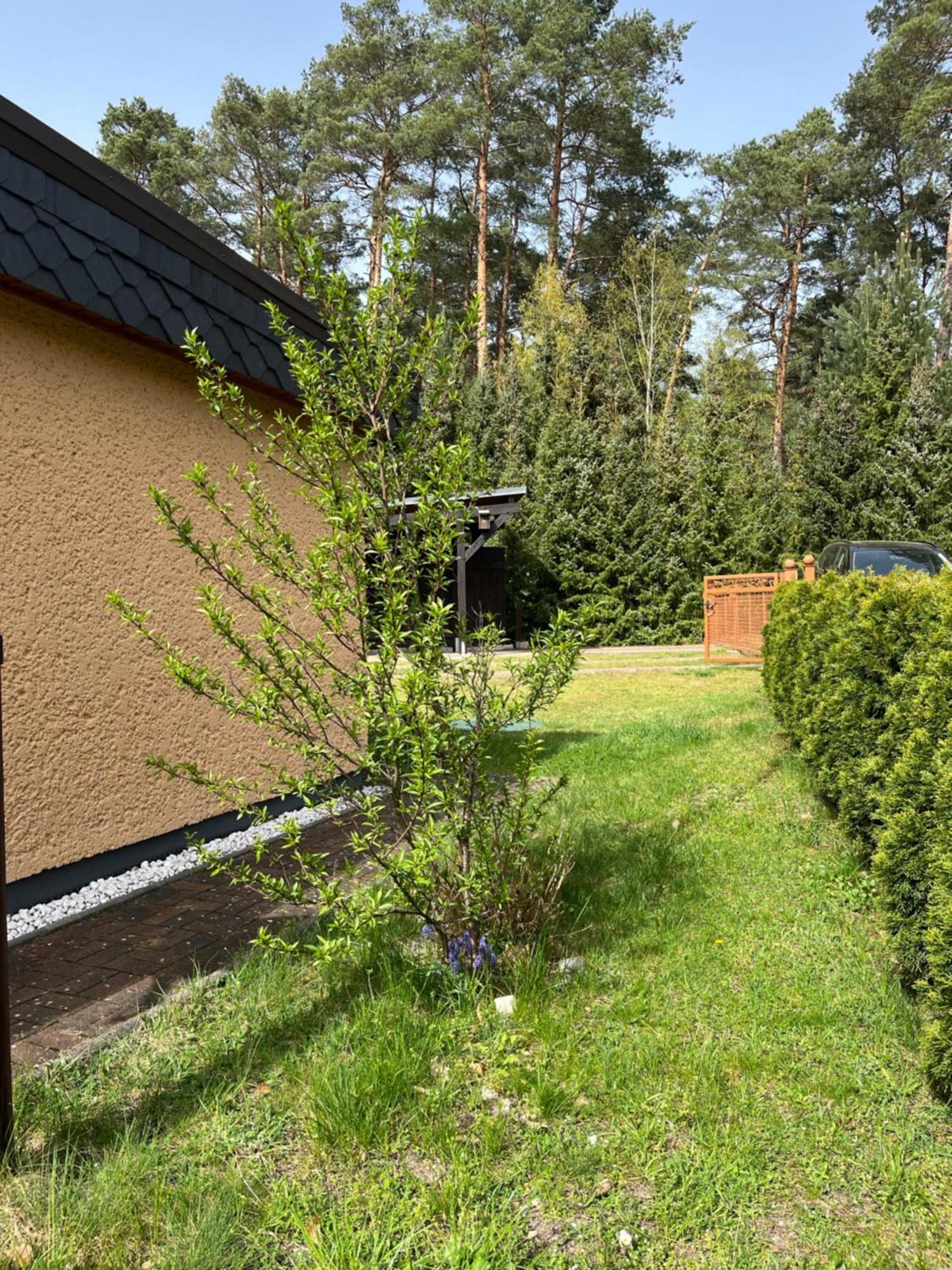 Ferienhaus Fjola Schenkendobern Luaran gambar