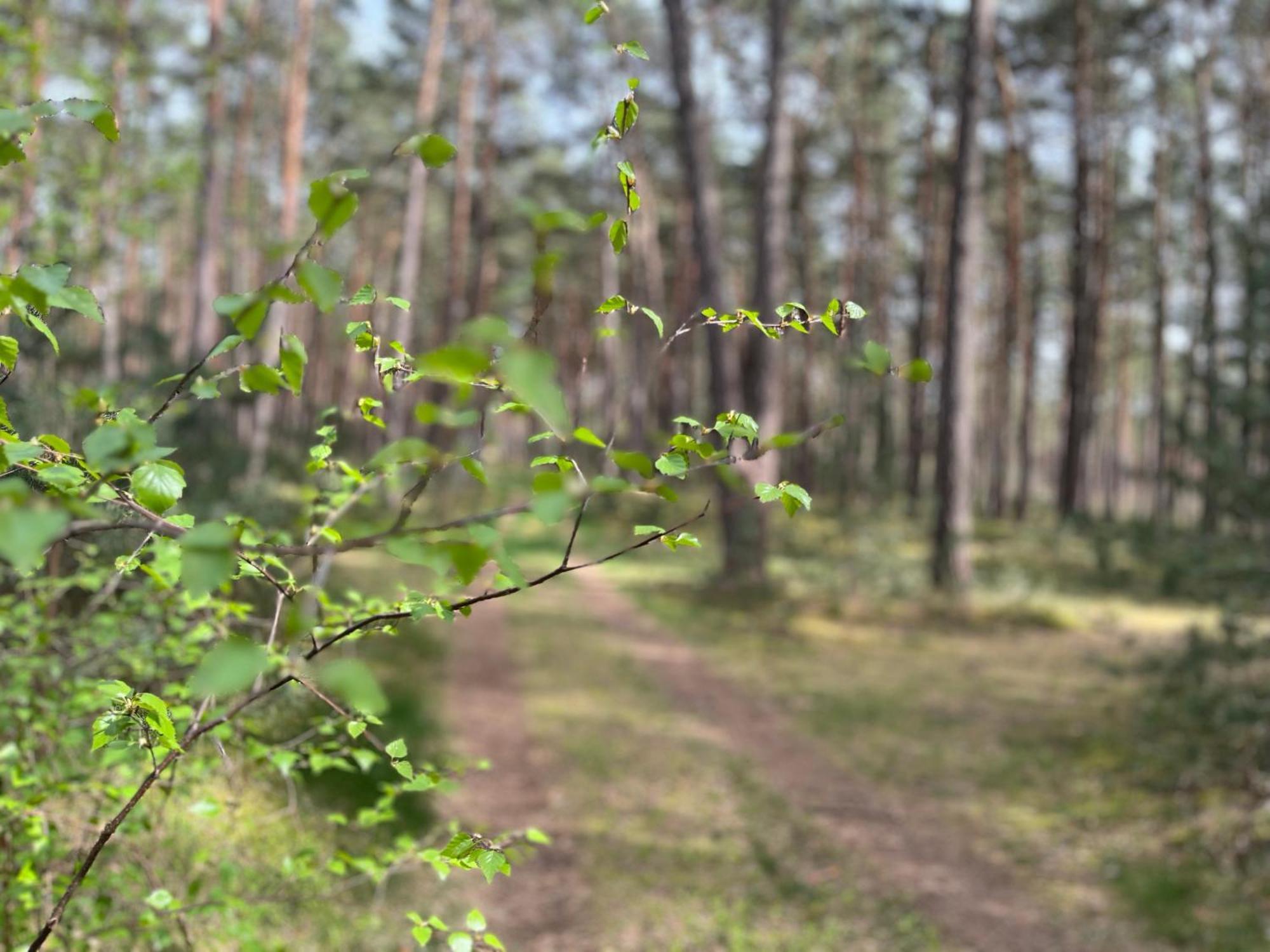 Ferienhaus Fjola Schenkendobern Luaran gambar