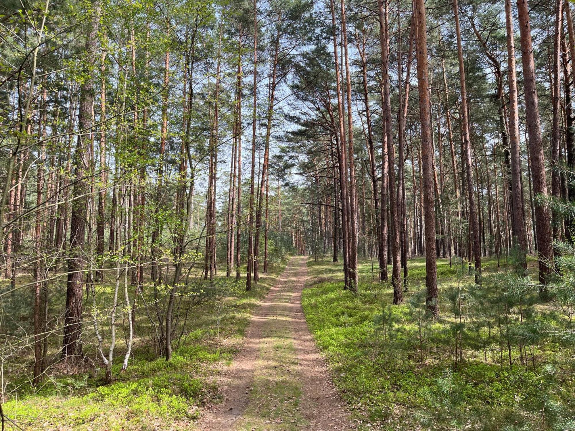Ferienhaus Fjola Schenkendobern Luaran gambar