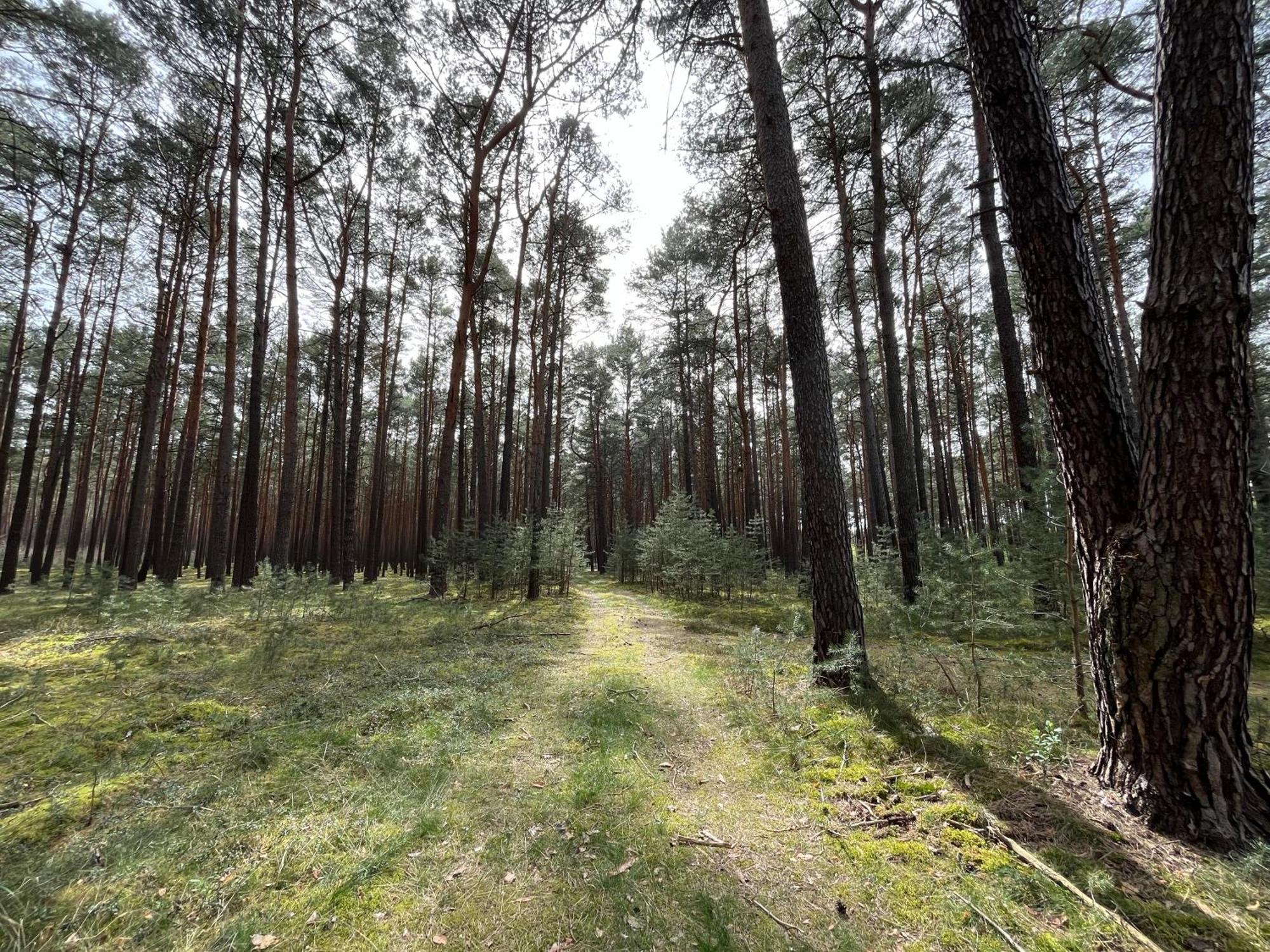 Ferienhaus Fjola Schenkendobern Luaran gambar